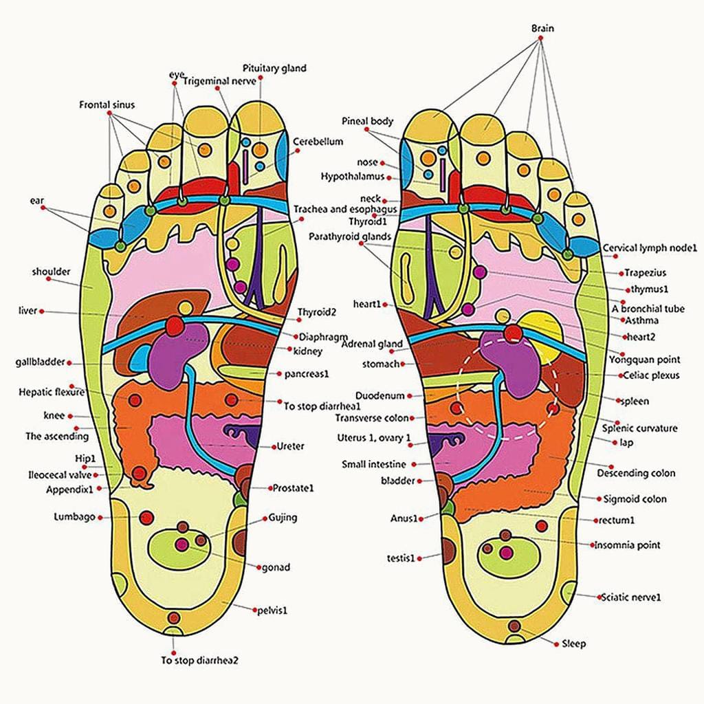 Chaussons de Massage