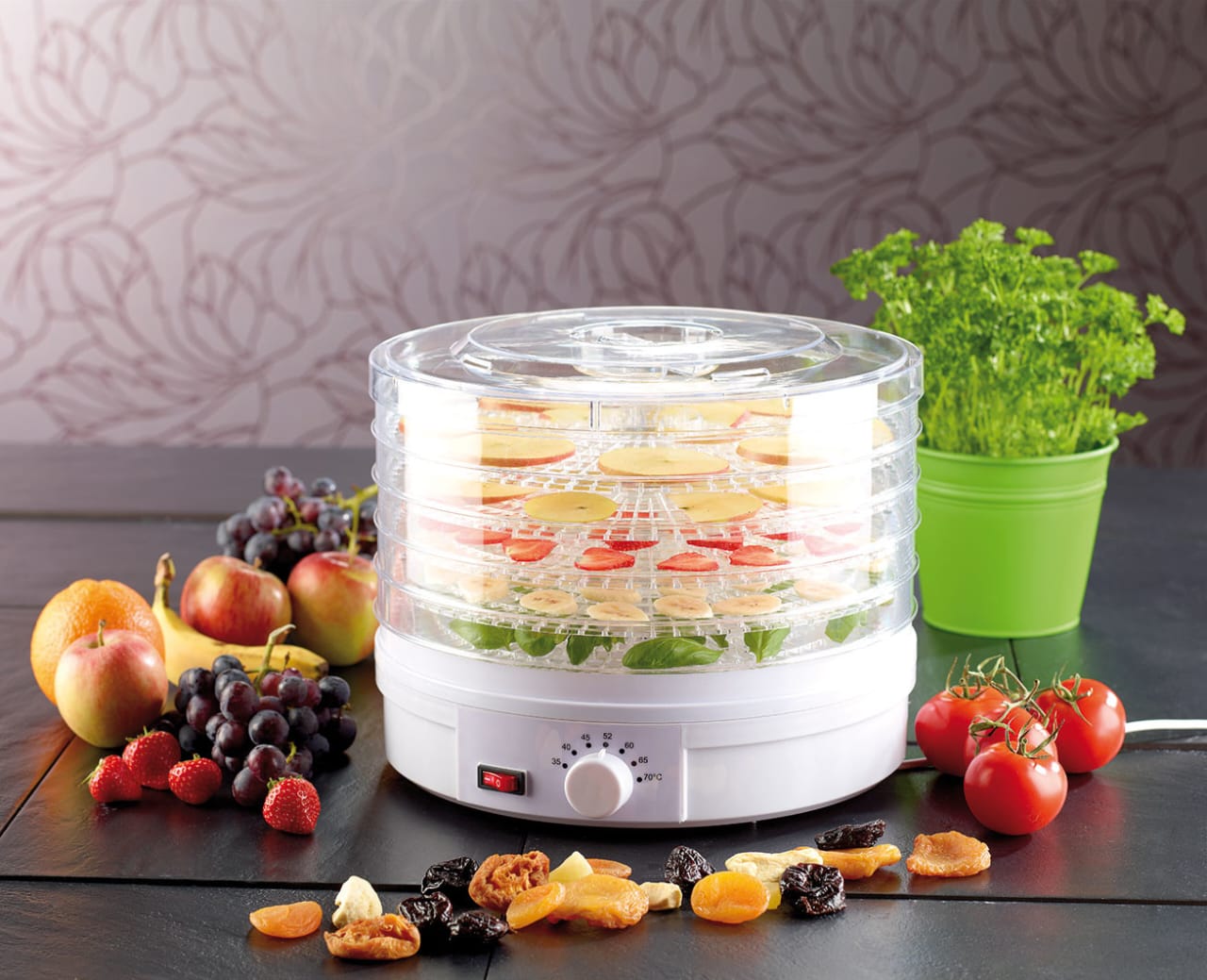 Déshydrateur Alimentaire Électrique